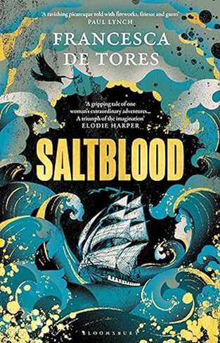 Saltblood: An epic historical fiction debut inspired by real life female pirates